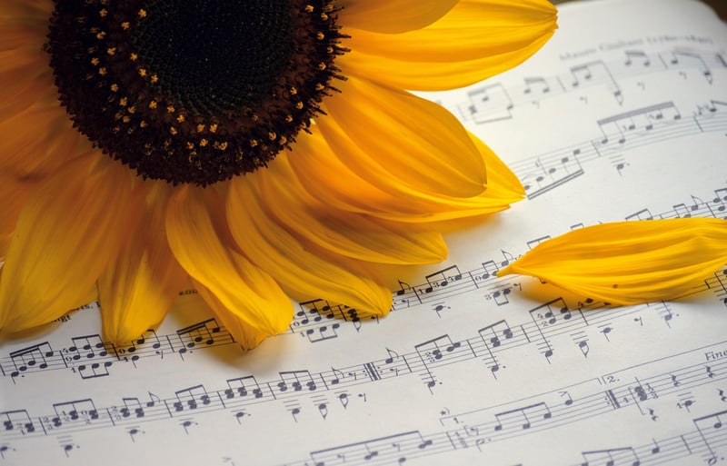 Concert Image
